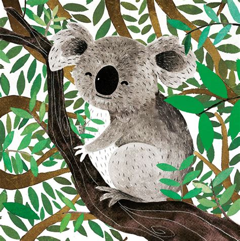 Carmen Saldana on Behance | Koala drawing, Koala illustration, Animal illustration