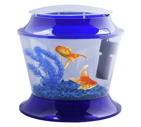 Buy Fish R Fun Blue Childrens Fish Tank At Uk Your Online