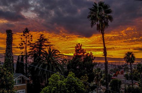 Sunset In Los Ángeles Rlosangeles