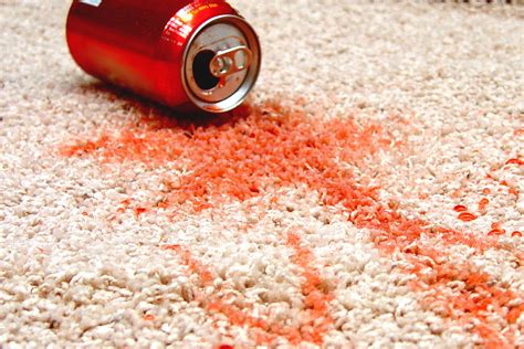 Easy Ways To Remove Carpet Stain Green Living Bees
