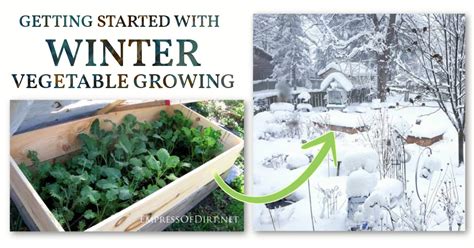 How To Grow Vegetables Outdoors In The Winter — Empress Of Dirt