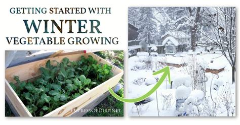 Learn how to plant winter vegetables with expert gardening tips in this free video series. How To Grow Vegetables Outdoors in The Winter | Empress of ...