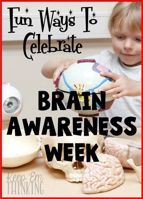 Fun Ways To Celebrate Brain Awareness Week Whole Brain Teaching The