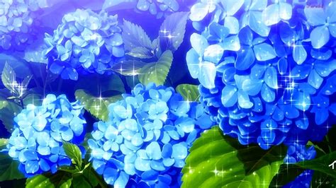 Anime Flower Wallpapers Wallpaper Cave