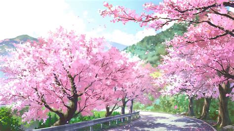 High Resolution Anime Cherry Blossom Desktop Wallpaper