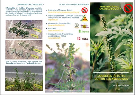 Les risques d'allergies liées à l'ambroisie seront très élevées dans ces 5 départements jusqu'au 7 deux autres départements très proches, l'ain et l'isère, affichent aussi un risque d'allergie élevé. Ambroisie: Allergie