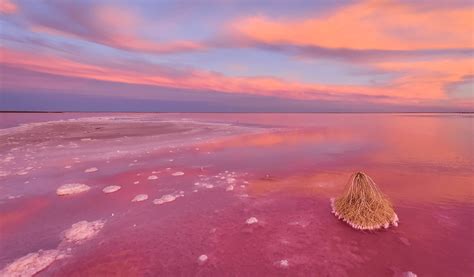 Everything You Need To Know About Victorias Pink Lakes