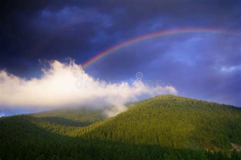 Rainbow On Blue Sky Over The Green Forest And Mountains Stock Image