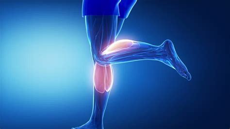 Physical Therapist S Guide To Calf Strain