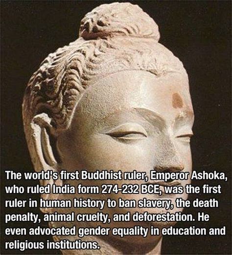 Mind Blowing Facts Pics