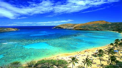 Online Crop Hd Wallpaper Panoramic View Of Honolulu Hawaii Hdr