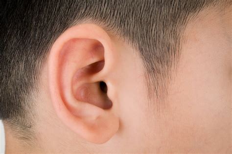Signs And Symptoms Of Inner Ear Problems Livestrongcom