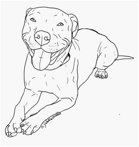 Pitbull Puppy Outline