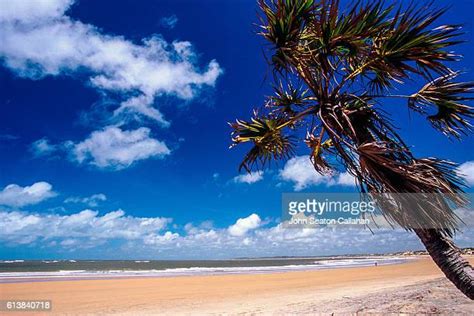 Kenya Beaches Fotografías E Imágenes De Stock Getty Images