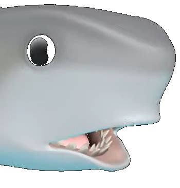 Shark Pog Discord Emoji