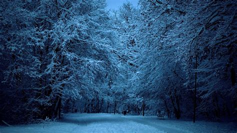 Snow Covered Winter Street At Dusk Full Hd Wallpaper And Background