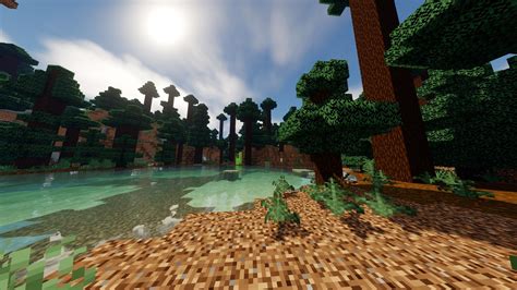 Taiga Biome With Shader Outdoor Outdoor Decor Biomes