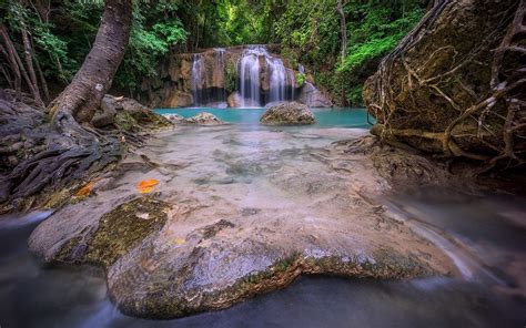 1400x875 Nature Landscape Thailand Waterfall Forest Roots Foliage