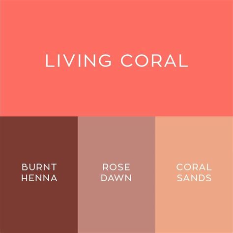 2019 Pantone Color Of The Year Living Coral Warm Sympatico Color