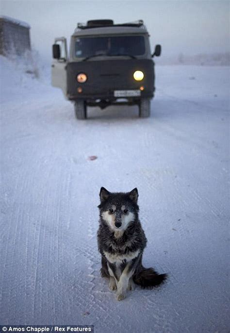 Oymyakon el lugar habitado más frío del mundo Paperblog