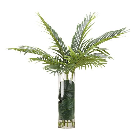 This provides nutrients and will help keep the palm leaves green. D&W Silks Cycas Palm Fronds in Glass Vase - Walmart.com ...