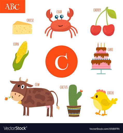 Kindergarteners are starting their early alphabet and reading journey. Letter C Cartoon alphabet for children Cake cow Vector Image