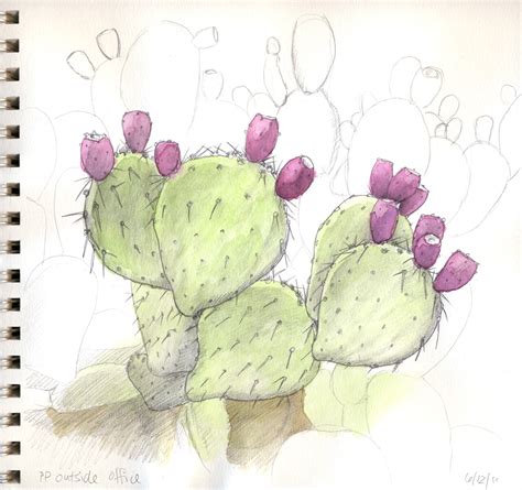 Best of all they are free! Rainy Moon - Tumamoc Sketchbook