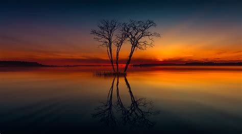 Horizon Lake Nature Reflection Sunset Tree Hd Nature 4k