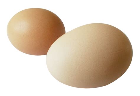 Download Egg Png Image For Free