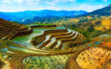 Miss Lover Travel Longsheng Rice Terraces China