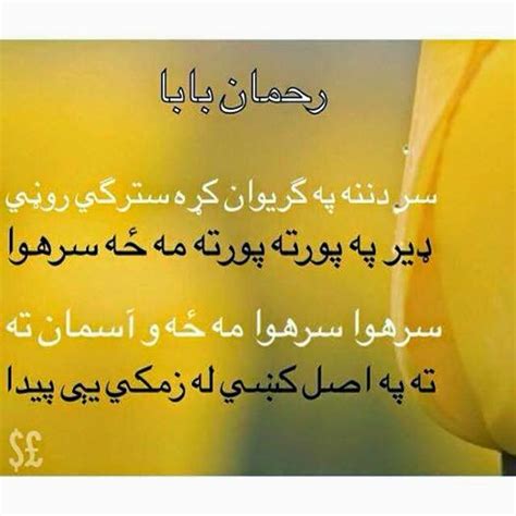 Silent Lover Poetry Heart Touching Pashto Poetry By Rehman Baba
