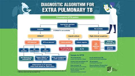 the integrated drug resistant tb diagnostic algorithm