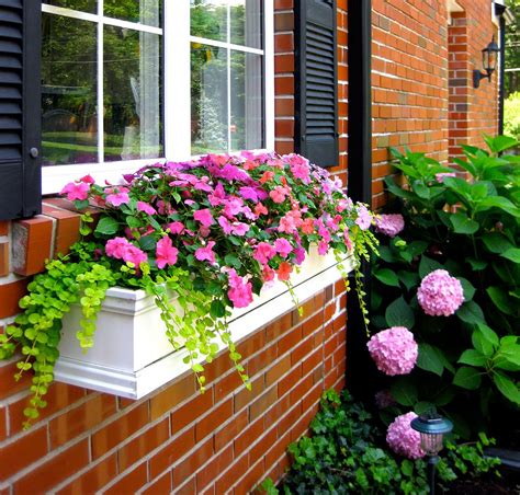 How to install window boxes. How to Hang Window Boxes the Right Way | Window box ...
