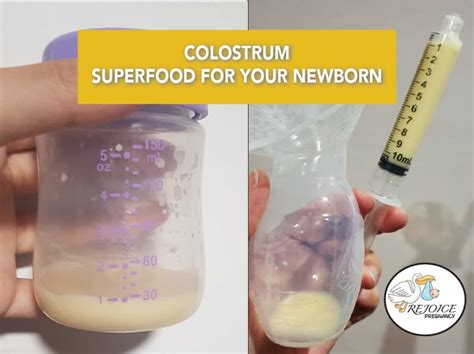 Superfood For Your Newborn Rejoice Pregnancy