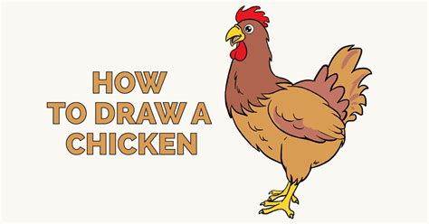 How To Draw A Cute Chicken In A Few Easy Steps Easy Drawing Guides