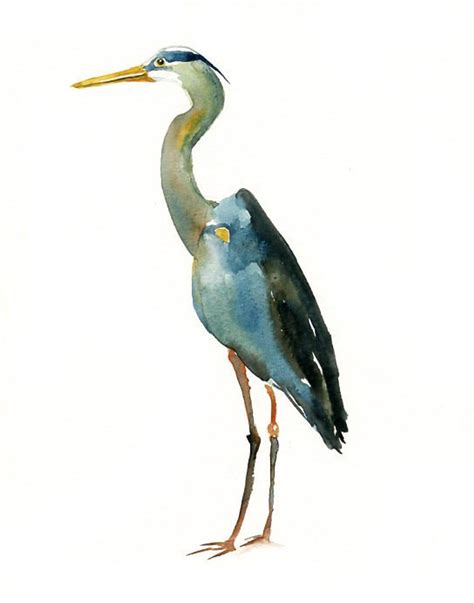 Great Blue Heron 5x7 Print Art Print Bird Watercolor Etsy Heron Art