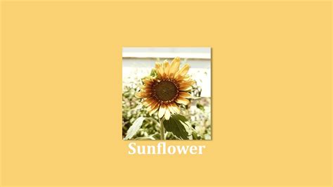 Free Randb Type Beat Sunflower Chill Beat Love Instrumental Youtube