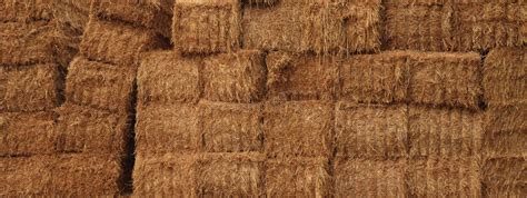 Natural Straw Texture Stock Photo Image Of Harvest Farm 69850186