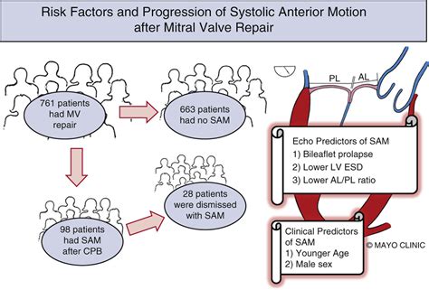 Risk Factors And Progression Of Systolic Anterior Motion After Mitral