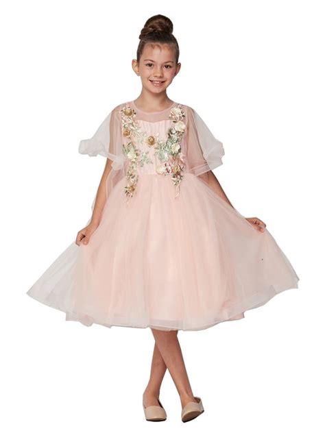 Cinderella Couture Little Girls Blush Pink Tulle 3d Embroidered