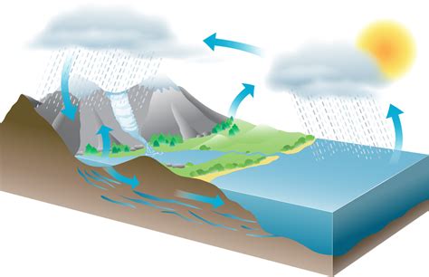 Hydrosphere The Water Cycle Diagram Quizlet