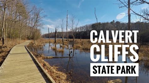Calvert Cliffs State Park Youtube