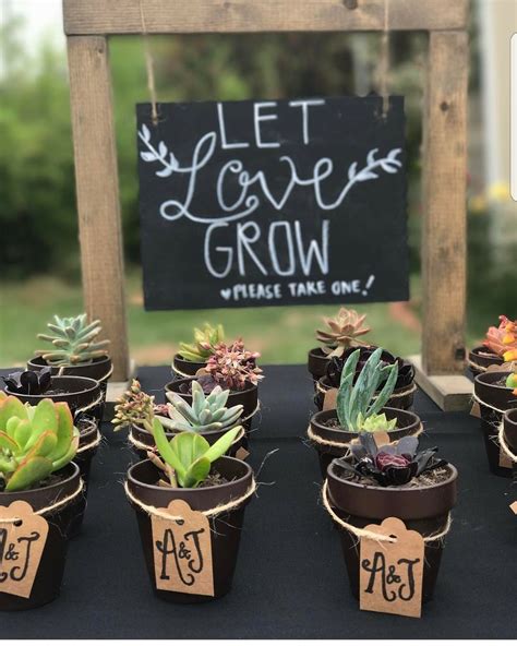 Succulent Party Favors I Made For My Friends Wedding Rsucculents