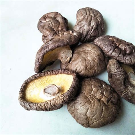Beneficial Delicious Shiitake Mushroom The Best Choice