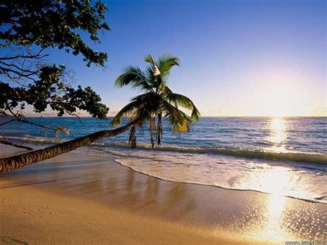 Tropical Beach Sunset One Hd Wallpaper Pictures