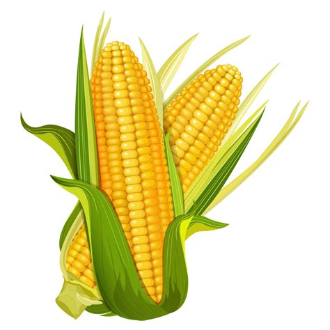 Corn Clipart Svg Corn Svg Transparent Free For Download