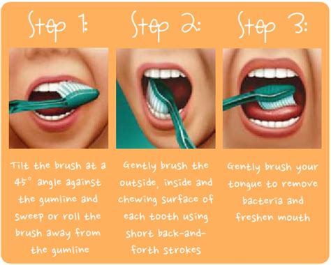 How To Brush Your Teeth Properly