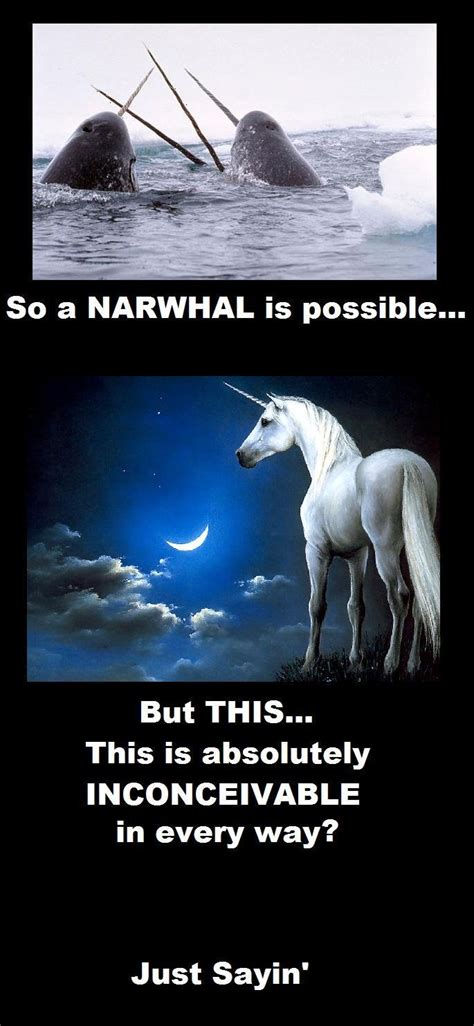 Narwhal Pictures And Jokes Funny Pictures And Best Jokes Comics