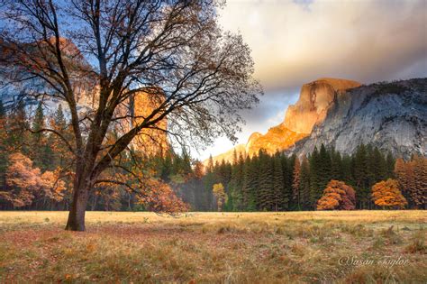 Autumn Splendor, Yosemite National Park - Outdoor Photographer