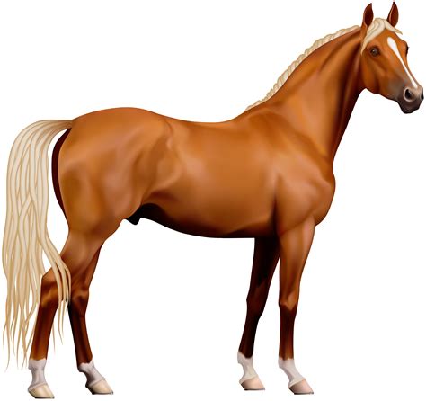 Free Horse Cliparts Transparent Download Free Horse Cliparts